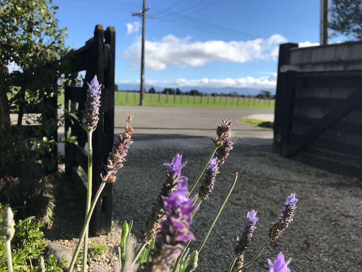 Lavender53 Villa Martinborough Exterior foto